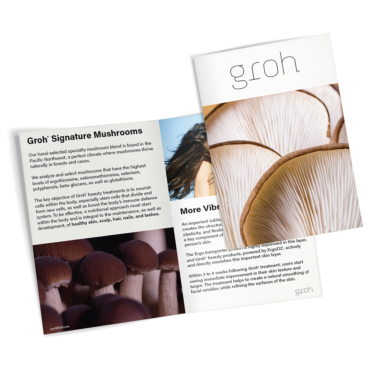 Groh Brochure